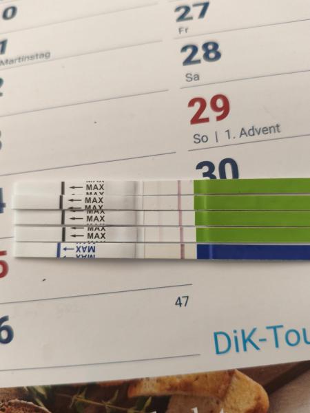 Bild zu Hibbelpanik - Forum für Juni - Mamis