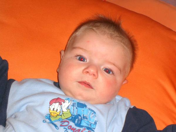 Bild zu 