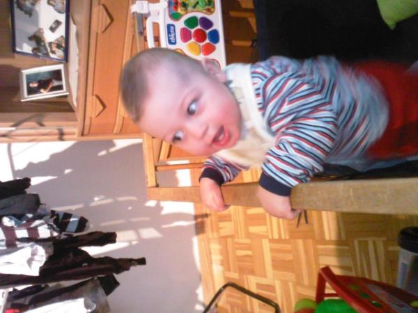 Bild zu