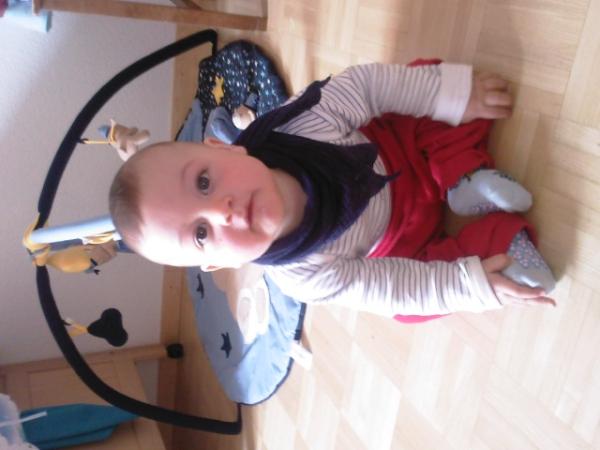 Bild zu