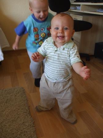 Bild zu