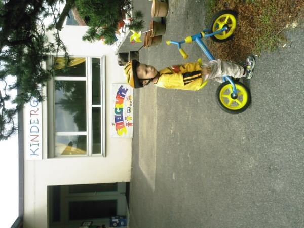 Bild zu 