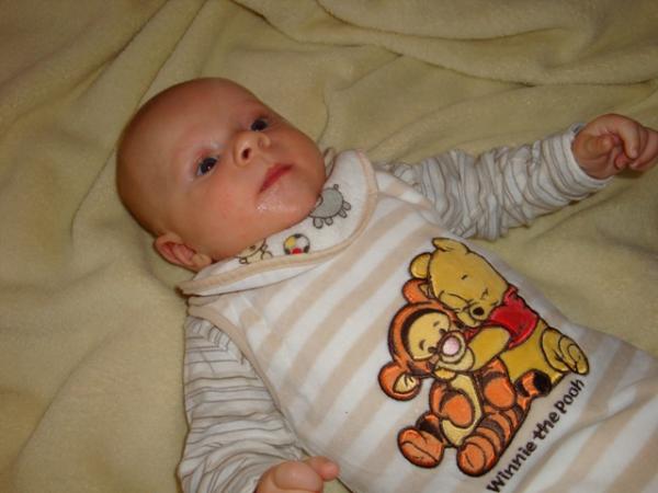 Bild zu
