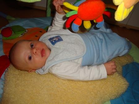 Bild zu