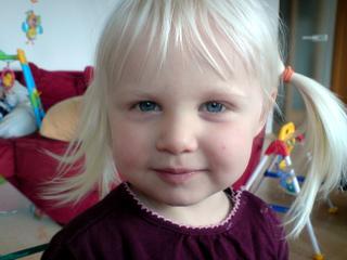 Bild zu 