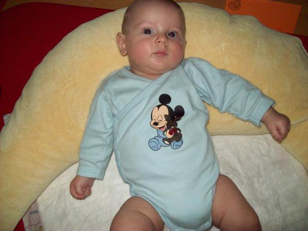 Bild zu