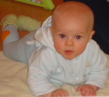 Bild zu