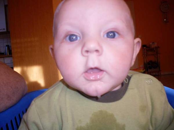 Bild zu