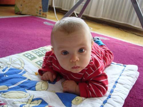 Bild zu 