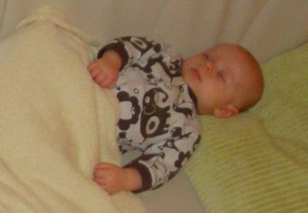 Bild zu 
