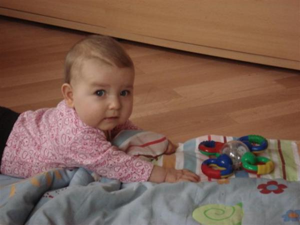 Bild zu 