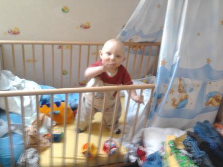 Bild zu