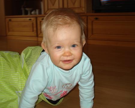 Bild zu 