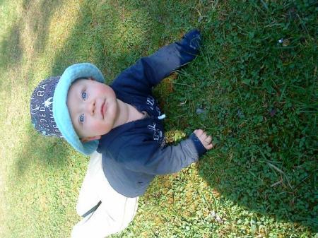 Bild zu 