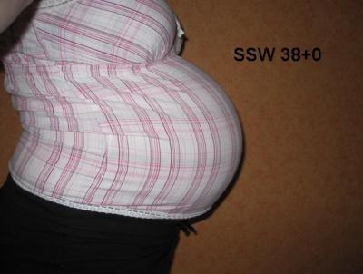 Bild zu Bauchbild - wer noch mal mag .... - Forum für Juli - Mamis