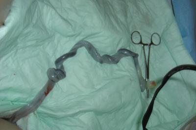 Bild zu DAS BILD ;-) ich Nase hab es doch glatt vergessen - Forum für Juli - Mamis