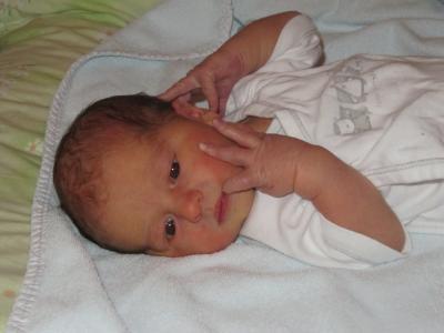 Bild zu ein Bild von Otto! - Forum für Juli - Mamis