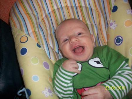 Bild zu