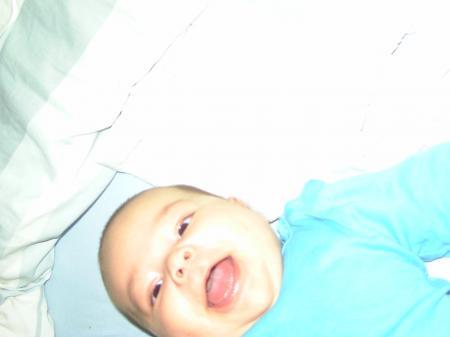 Bild zu