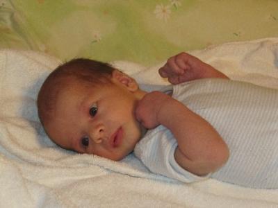 Bild zu heute ist der frosch genau 1 monat alt! - Forum für Juli - Mamis