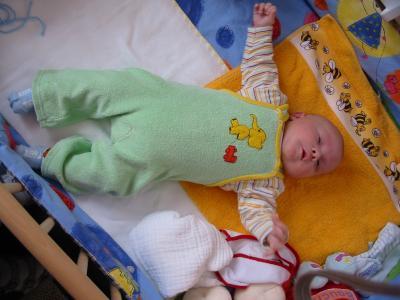 Bild zu Fotos meines ersten mit 9 Wochen - Forum für Juli - Mamis