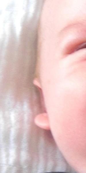 Bild zu zum Thema Ohren...eure Meinung bitte - Forum für Juli - Mamis