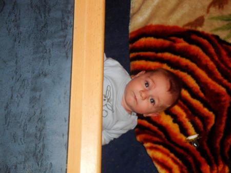 Bild zu 