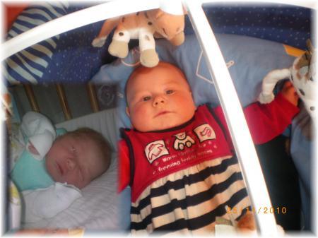 Bild zu 