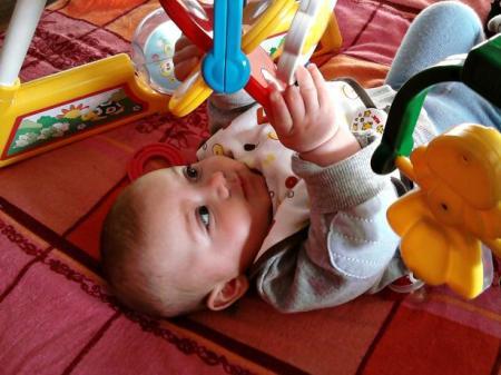 Bild zu 