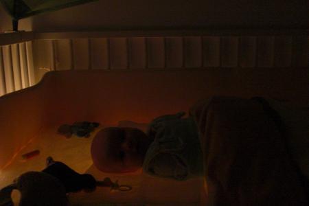 Bild zu