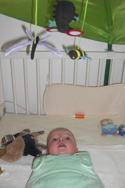 Bild zu