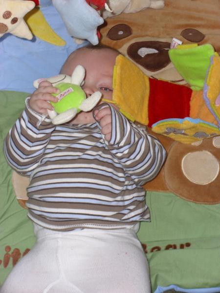 Bild zu 