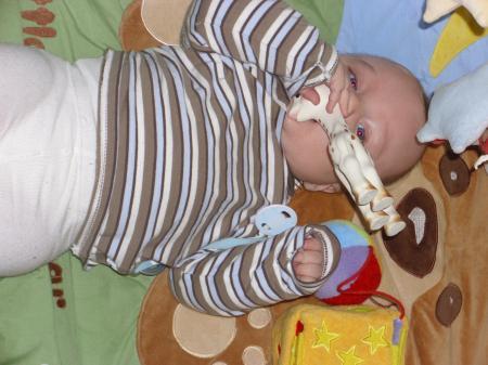 Bild zu 