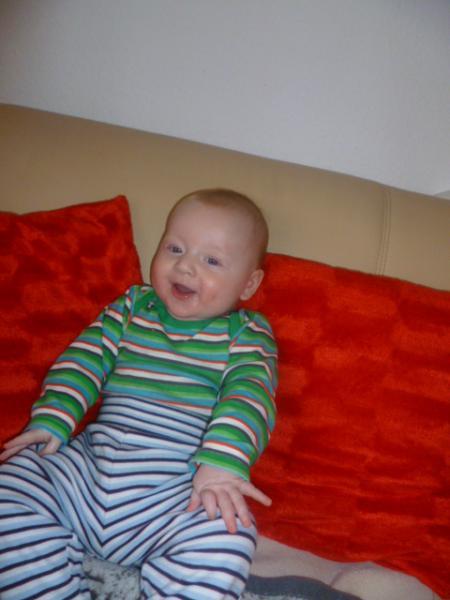 Bild zu