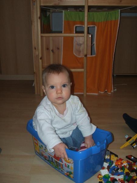 Bild zu
