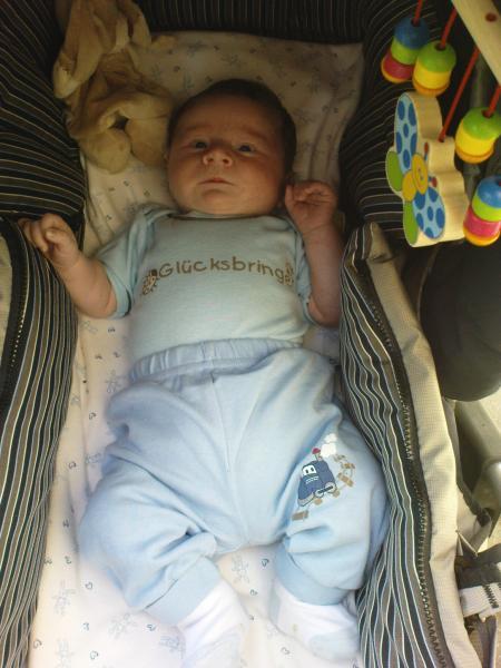 Bild zu 