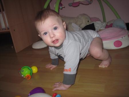 Bild zu 