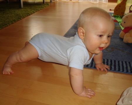 Bild zu 