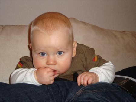 Bild zu