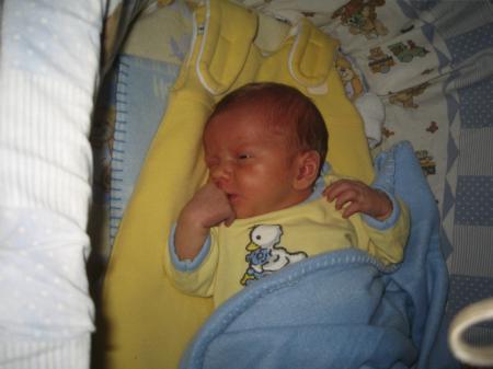 Bild zu 