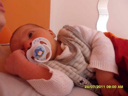 Bild zu