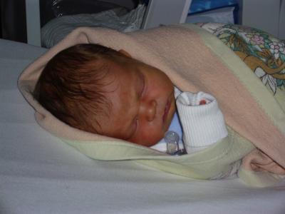 Bild zu Wir leben auch noch.... - Forum für Juli - Mamis