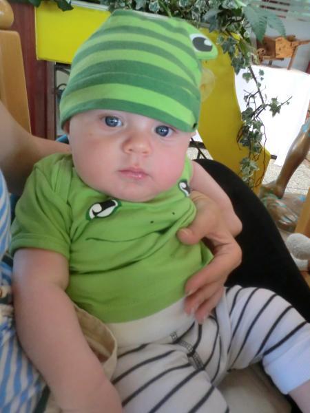Bild zu