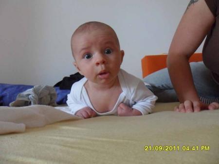 Bild zu 