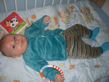 Bild zu 