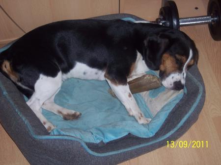 Bild zu