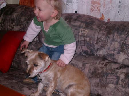 Bild zu