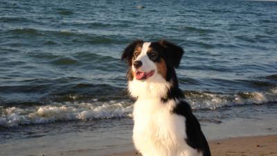 Bild zu versuchs auch mal mit nem bild! kein ss bild. - Forum für Juli - Mamis