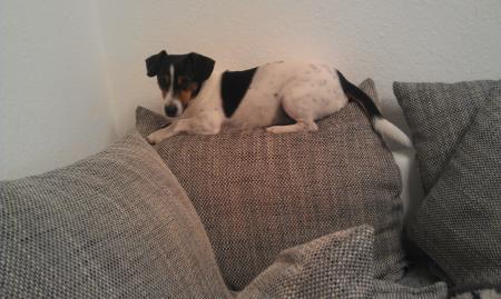 Bild zu