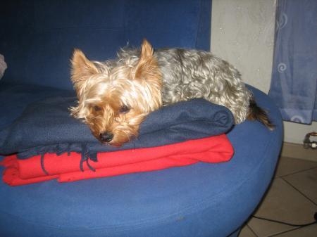 Bild zu
